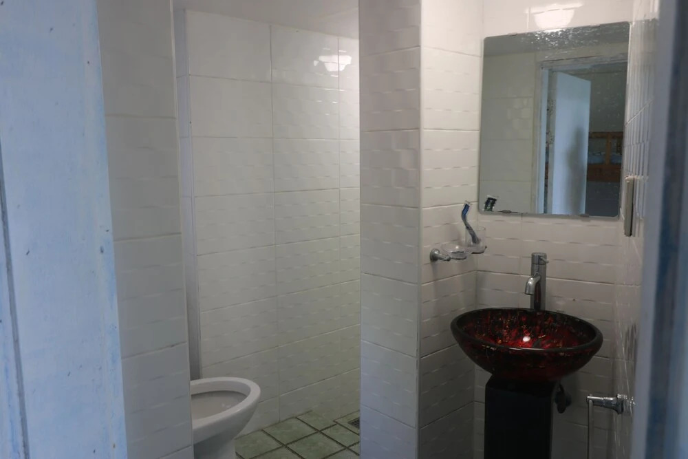 White Whale Guesthouse - Hostel