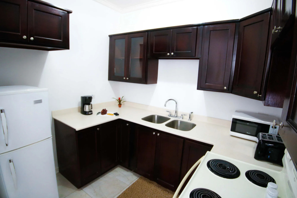 Cattleya's New Kingston Guest Apartment