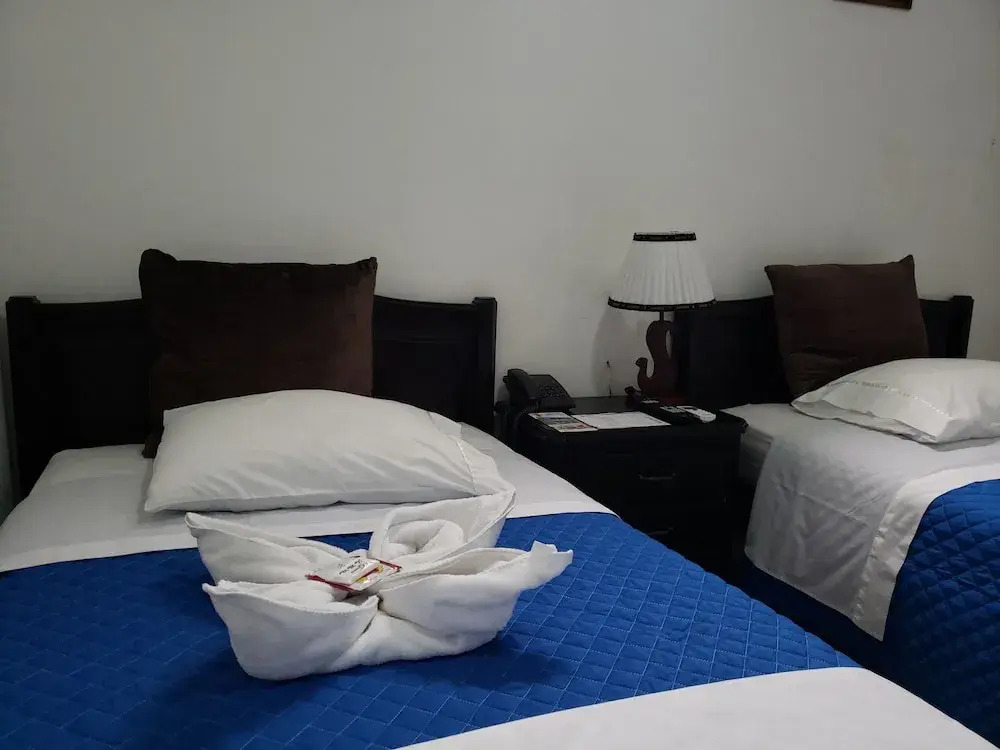 Hostal Flightless Cormorant