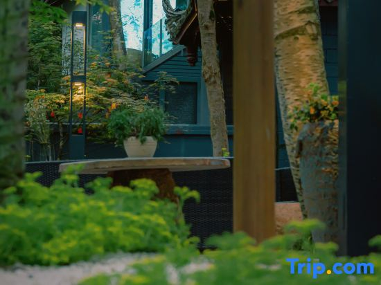 Zunbo Forest Vacation Apartment (Qingcheng Mountain Scenic Area)