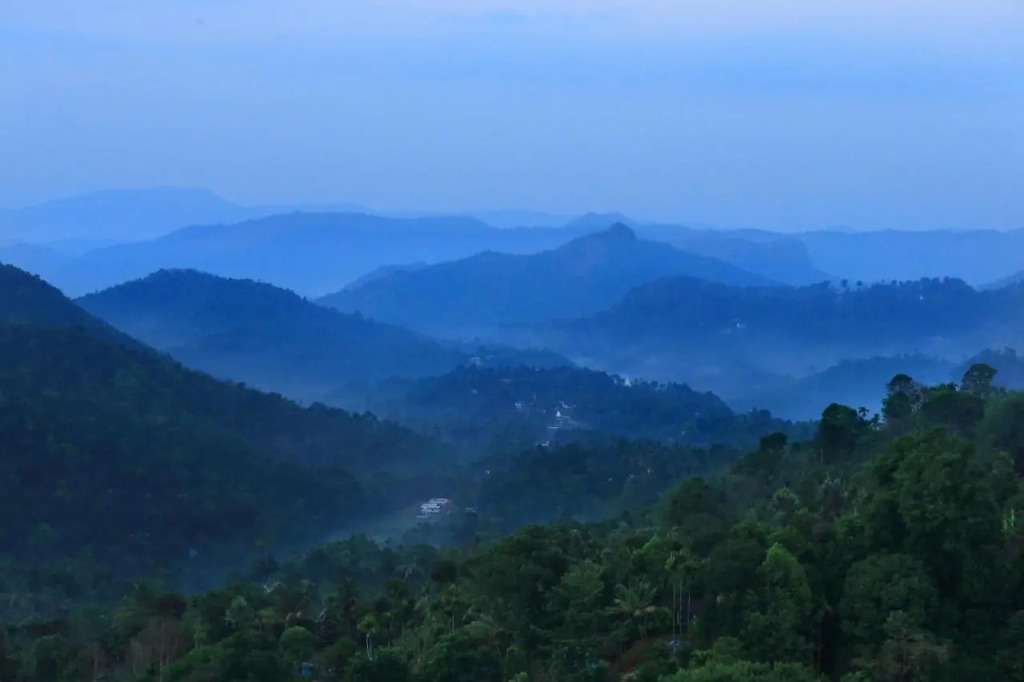 Munnar Tea Hills Resort - MTHR