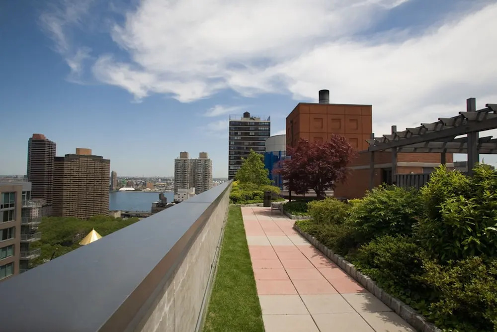 Beautiful 1 Bed Fully Furnished Apartment