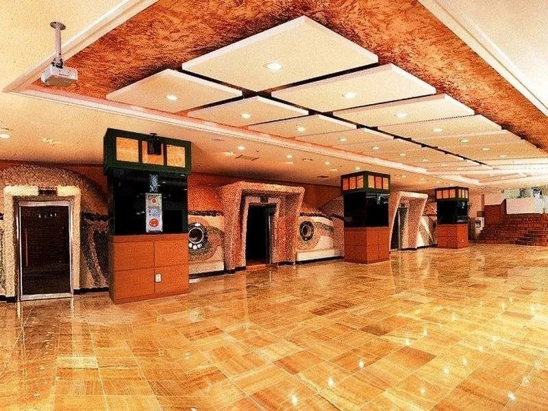 Metro Spa Cabin Backpacker Seoul