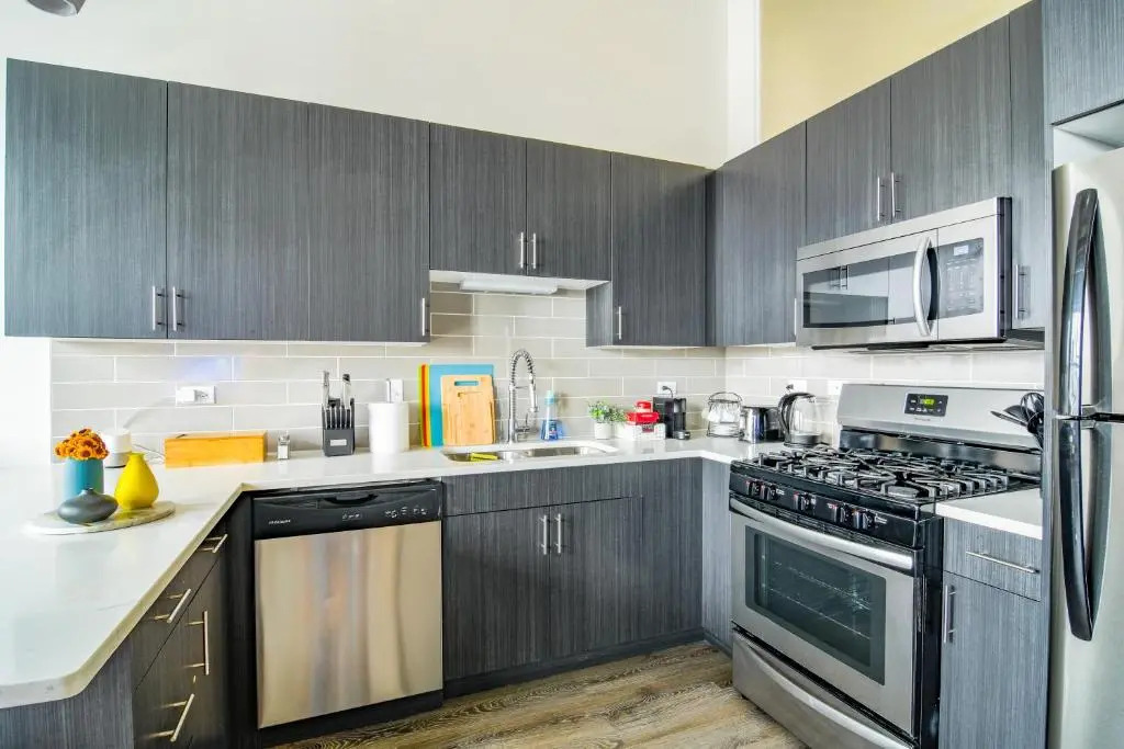 McCormick place luxury Penthouse Duplex with personal rooftop with optional parking for 8 guests