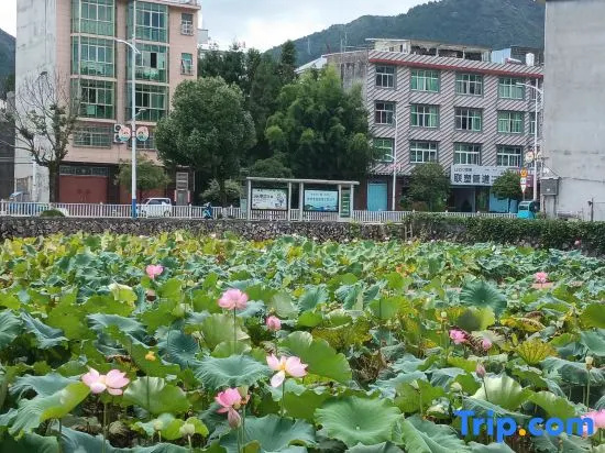 Shiguan Hepan Homestay