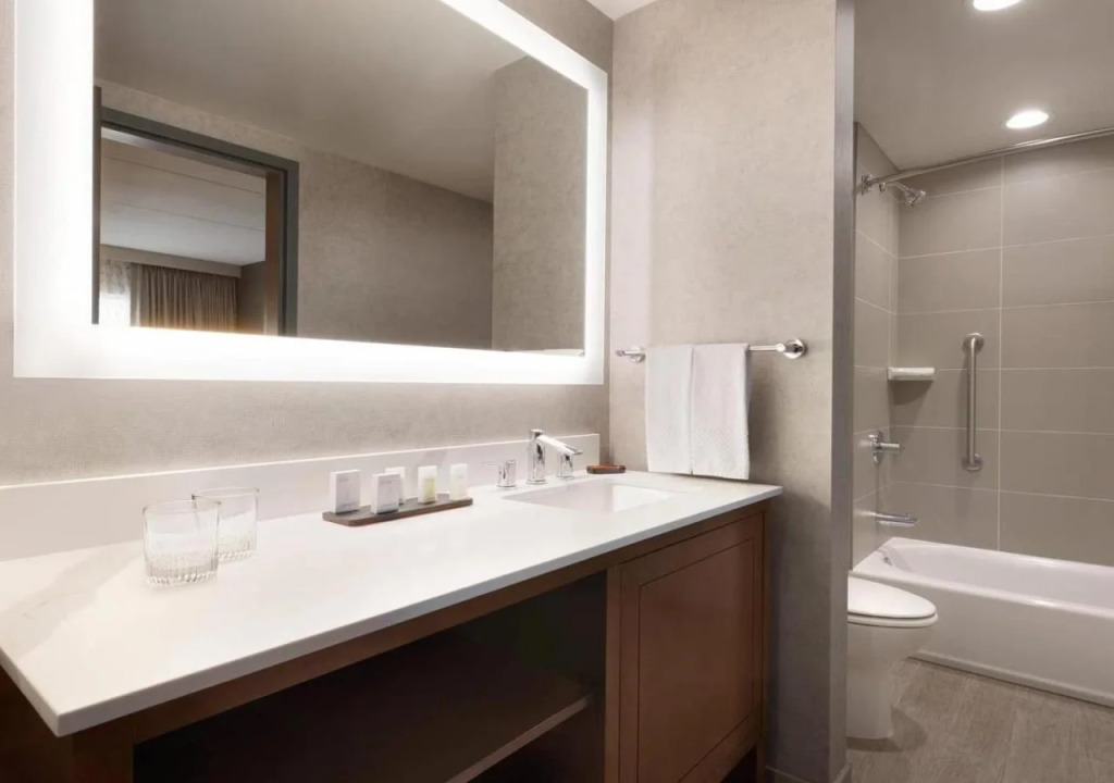 Embassy Suites by Hilton Chicago Naperville