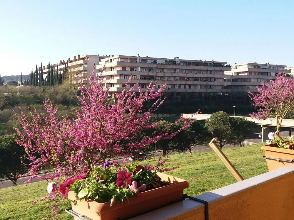 Colline Verdi