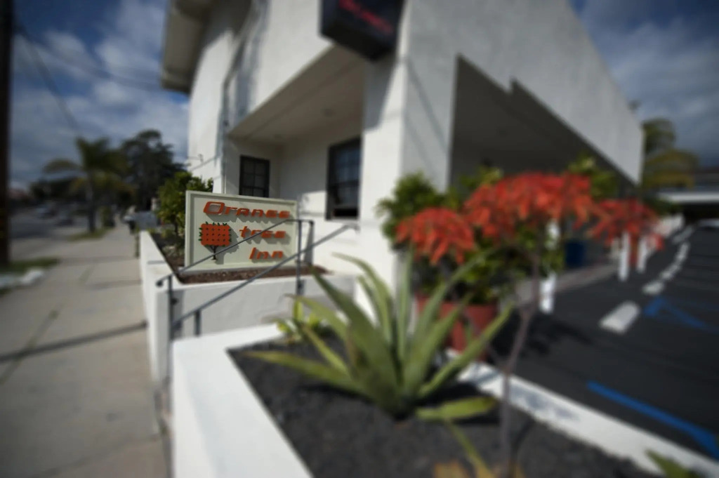 Orange Tree Inn