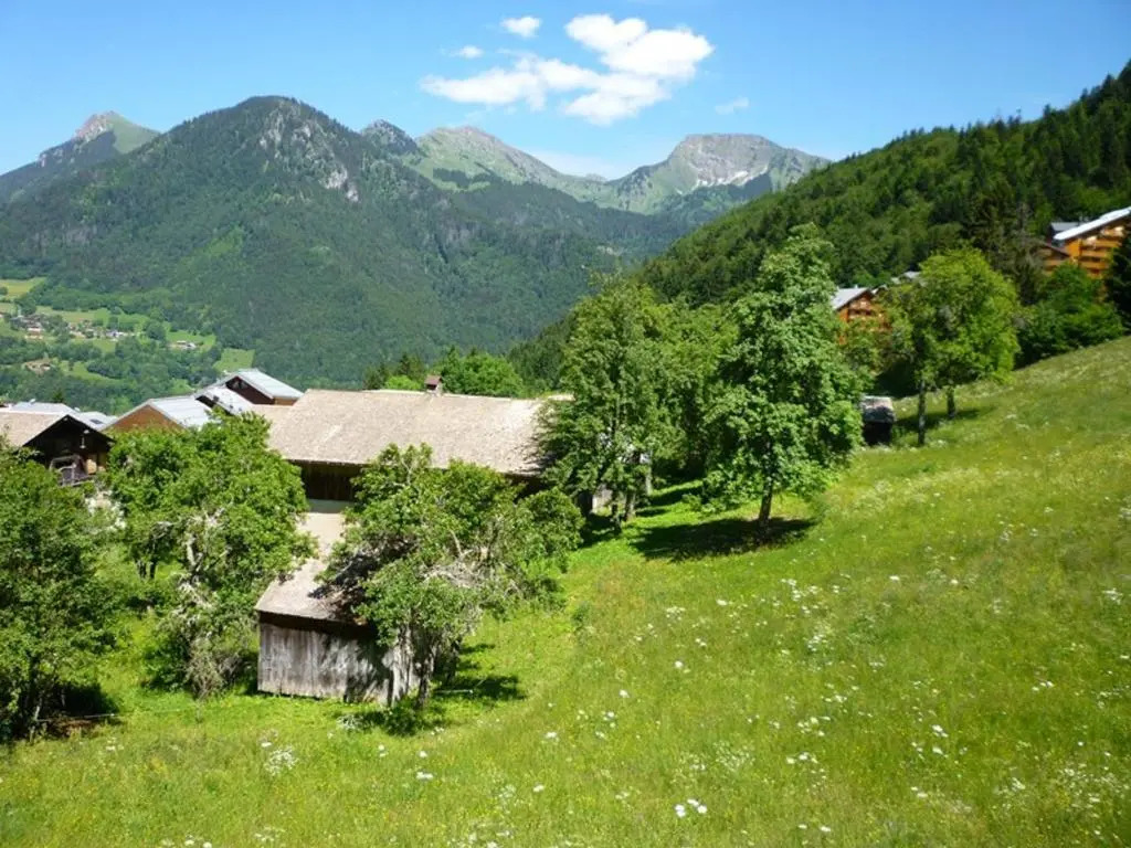 Appartement Saint-Jean-d'Aulps, 2 pièces, 4 personnes - FR-1-573-84