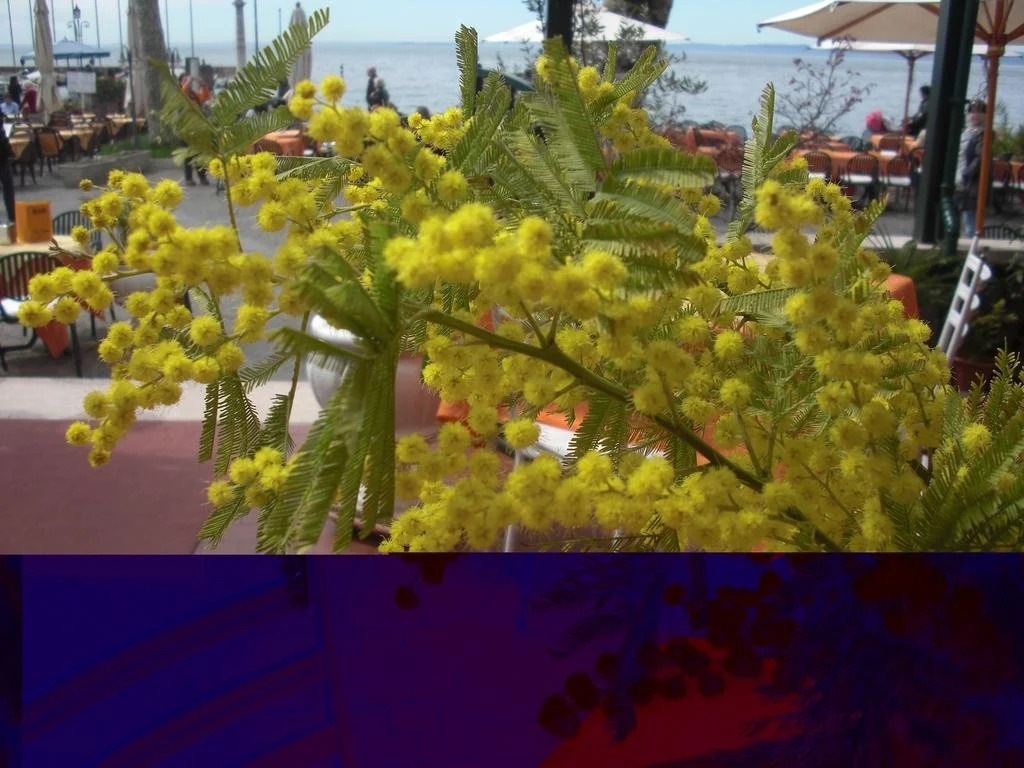 Hotel Tre Corone