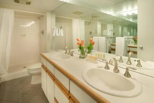 Aspen Alps Apartment #101