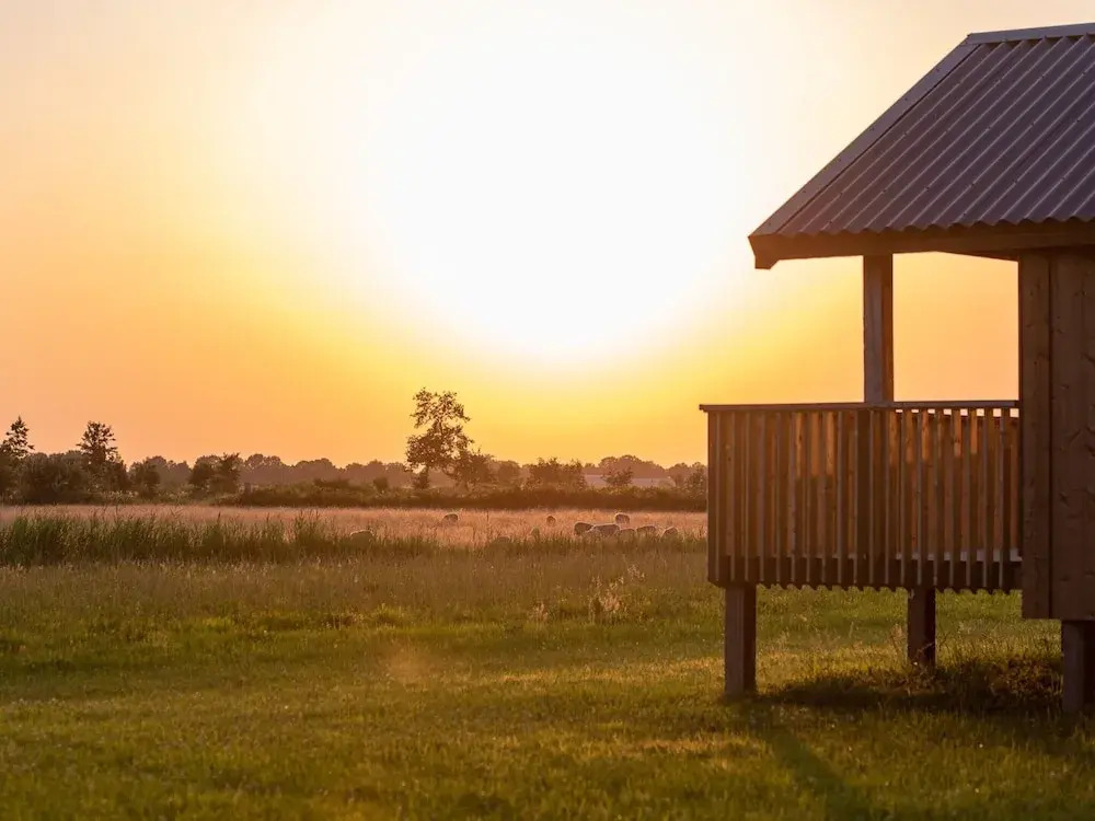Lodges in Drenthe With Scenic Meadow Views