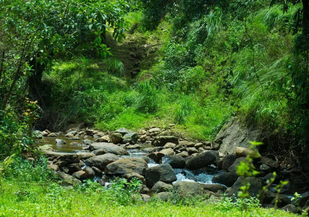 Hidden Valley Hill View Cottage Vagamon by VOYE HOMES - Rooms with Hill View