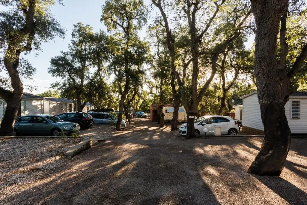 Camping Des Mimosas