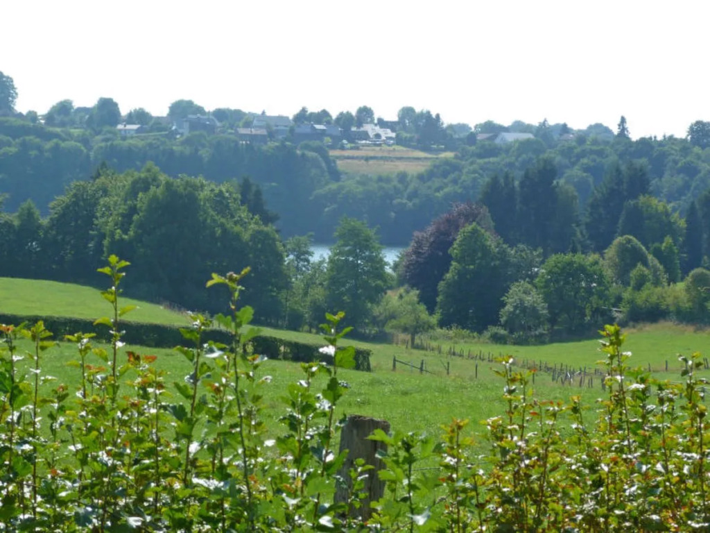 Au Bord Du Lac 24098