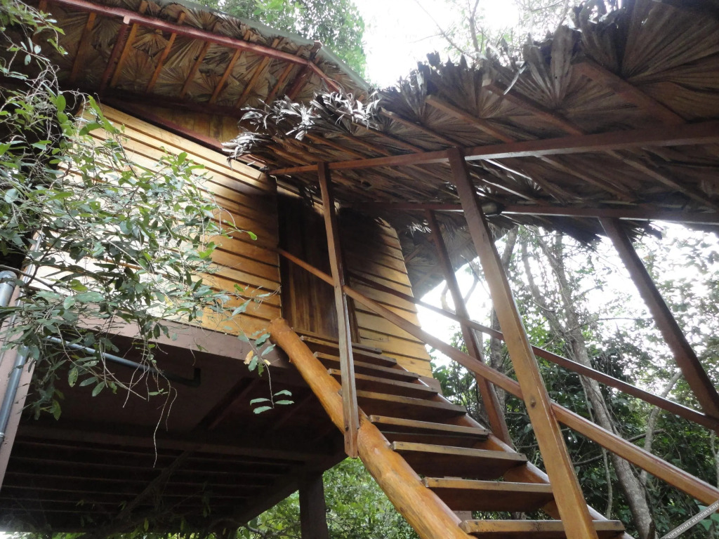 INN On The Tree Eco Resort Sigiriya