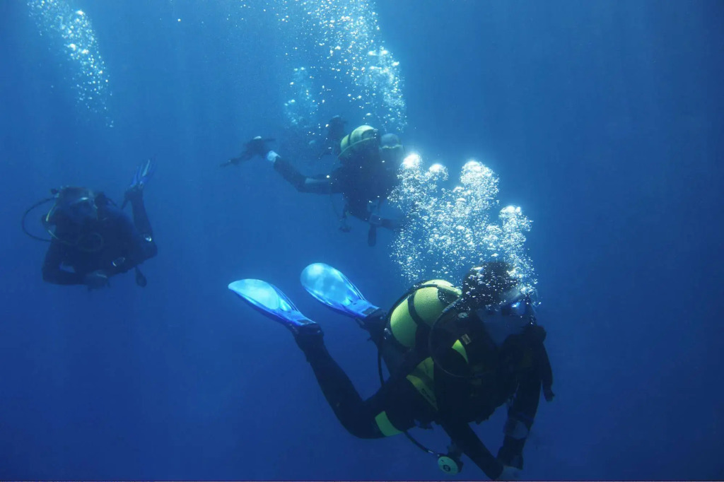 Robinson Soma Bay