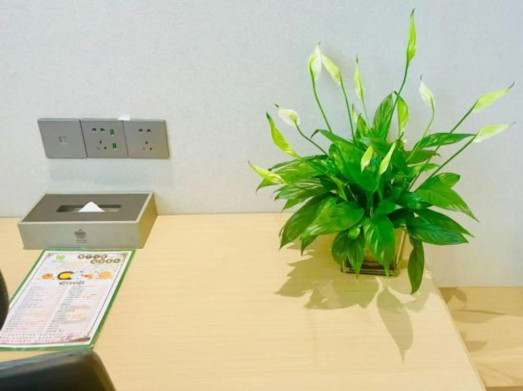Apple Hotel（ZhengZhou East Railway Station Mixc Shopping Center）