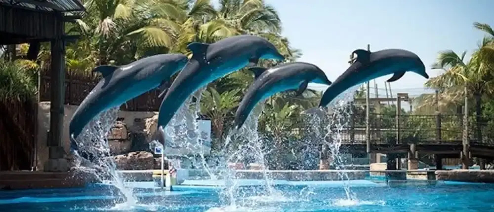 ocean palace self catering lodge