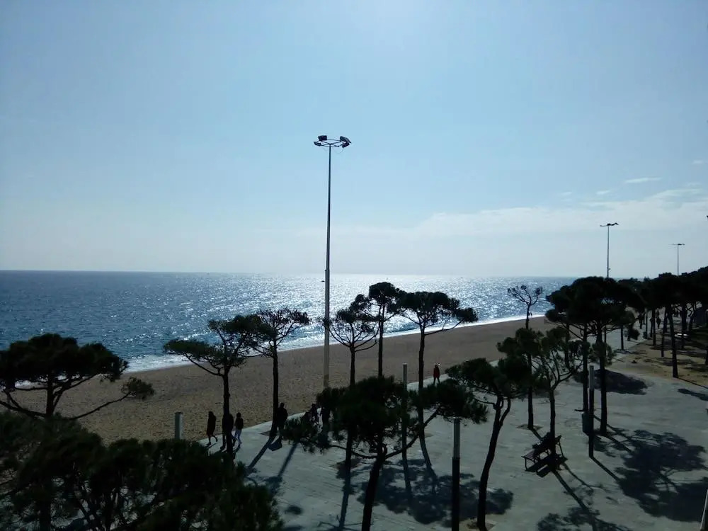 Apartamentos Delfin-Aromar-4