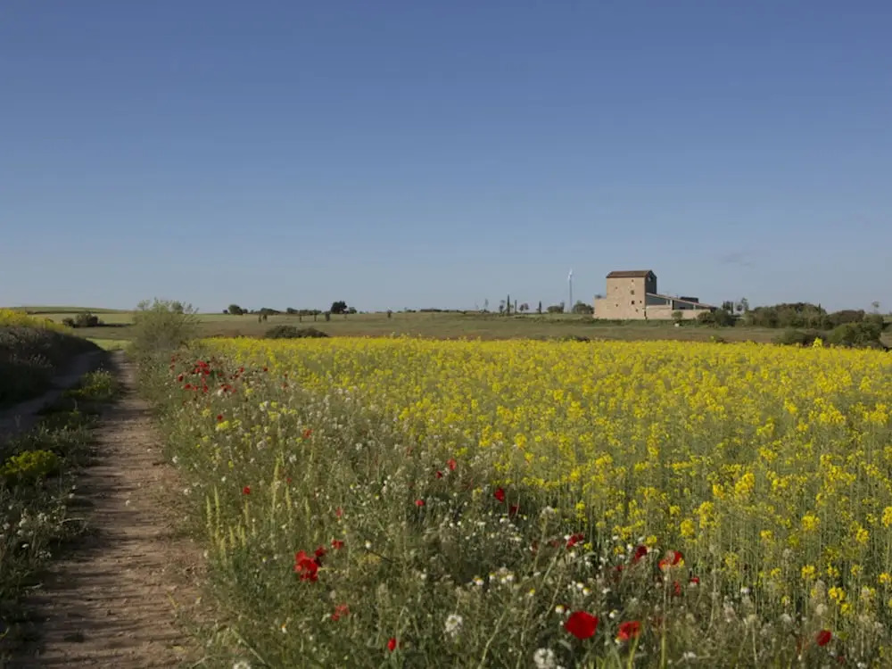 Rural House for 15 in the Heart of Nature