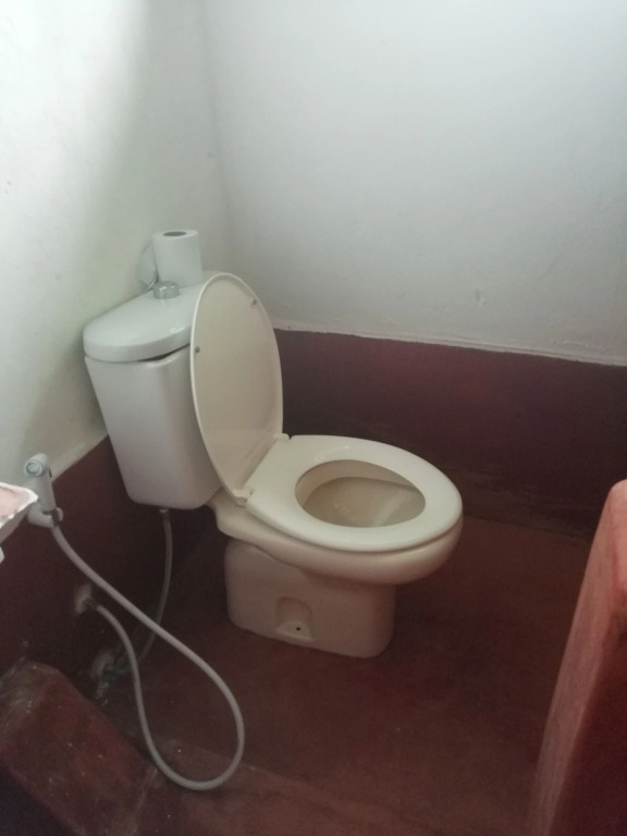 Stay House