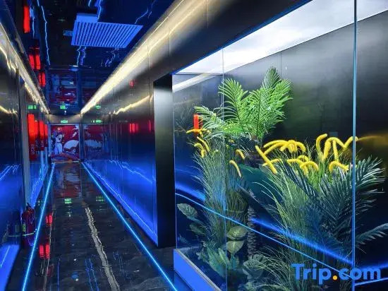 KK E-Sports Hotel (Zhongshang Jianghu MALL)