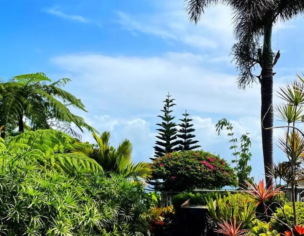 El Yunque Rainforest Inn