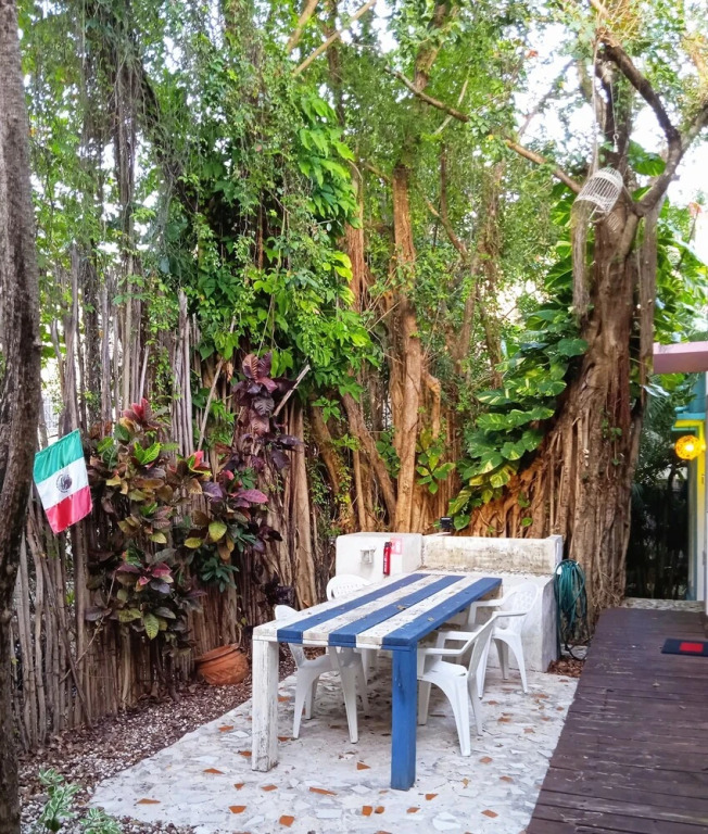 Spacious Studio for 2 or 3 People With Private Bathroom and air Conditioning
