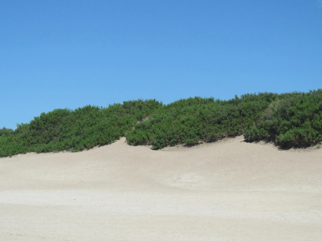 Mareazzurro