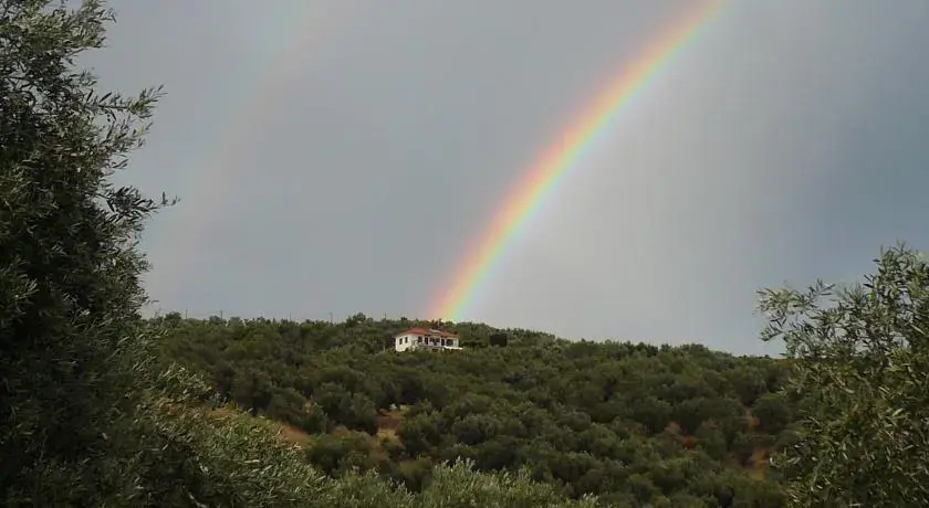 Studios Madalena