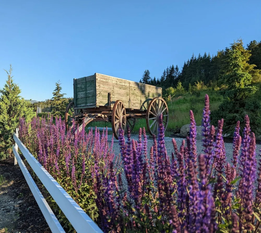 Autumn Lane Farm and Gardens