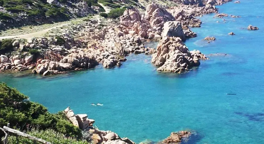Coccole Di Mare