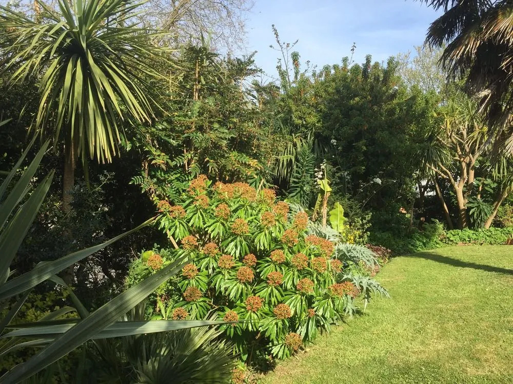 Palm Grove