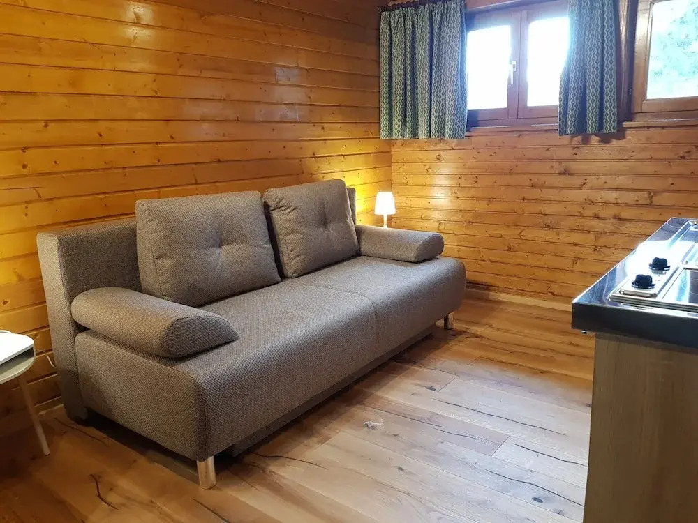 Apartment Near Romerbad Thermal Spa
