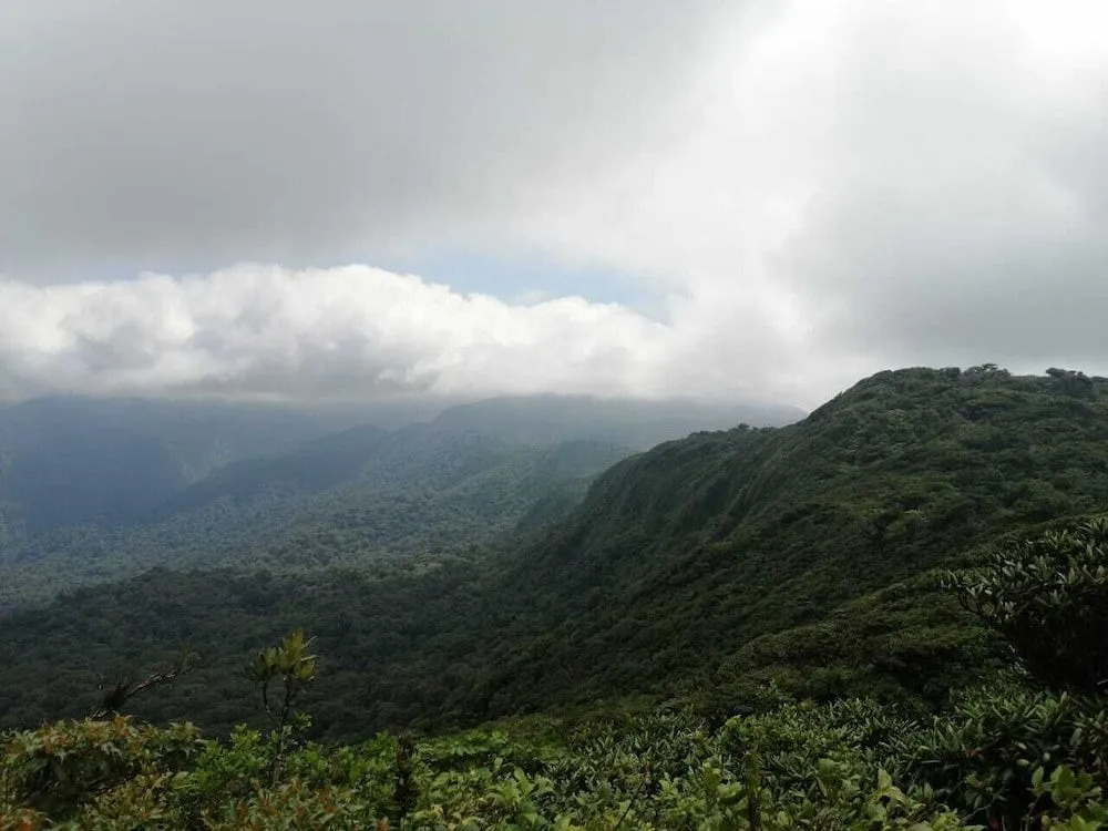 Hotel las Ardillas Monteverde