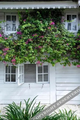 Villa Kalis, 10BR, Sleeps 24, Perfect for Groups, Best Value Seminyak