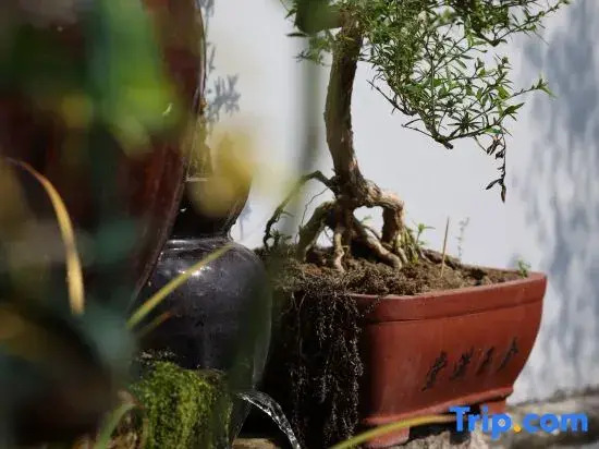 Tiantai Xishangyin Homestay (Tiantai Mountain Grand Waterfall)
