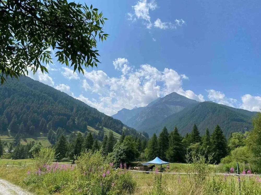 Chalet Rousinette - Val Tronce