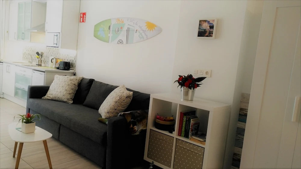 Apartamentos Museum Zarautz