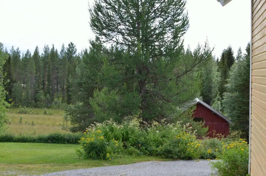 Sänkelä Cottage