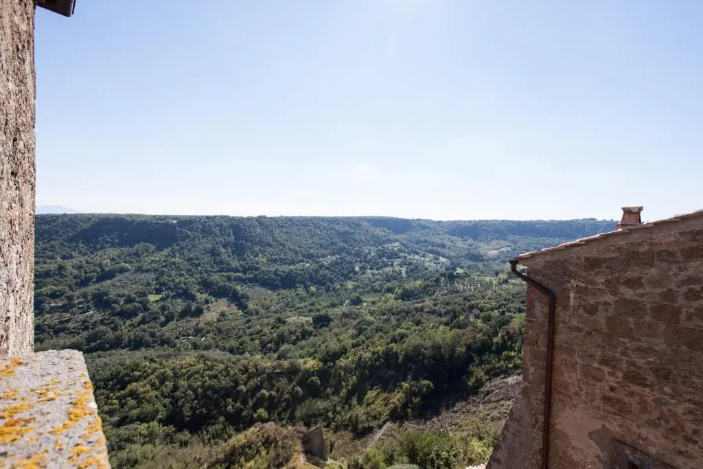 Libera Mente Civita