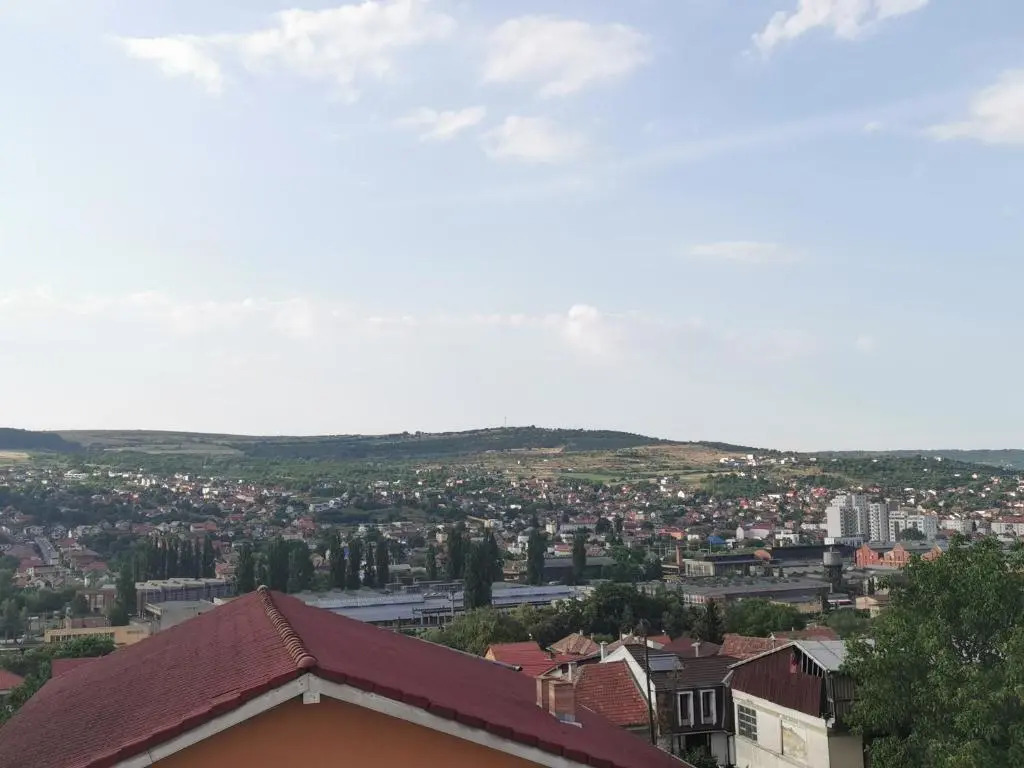 Charming Modern Apartment, Minutes from Downtown