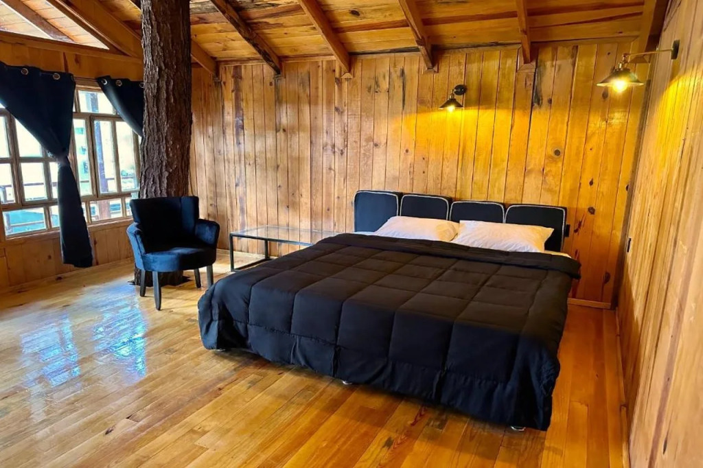PINE TREE Hotel Boutique & Cabañas