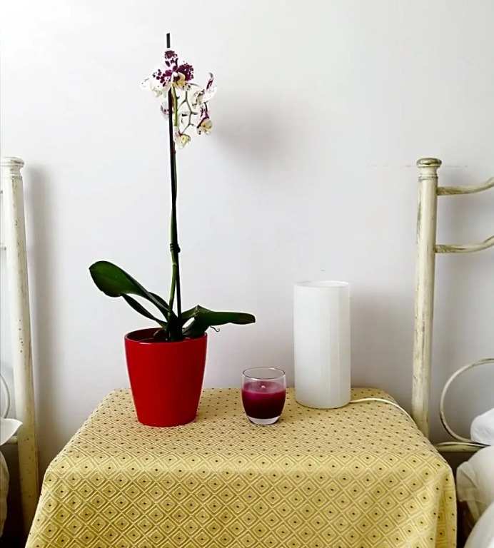 B&B Faro Bianco