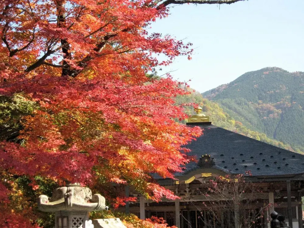 Masugen Ryokan