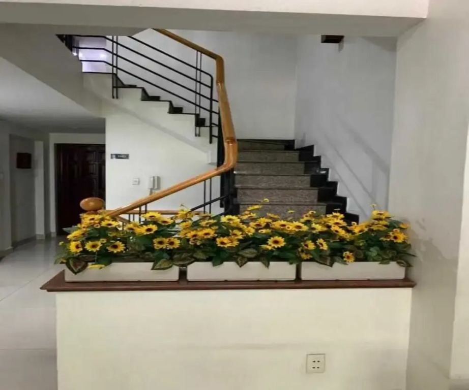 Collection O Dinh Dinh Hotel - Near Tan Son Nhat Airport