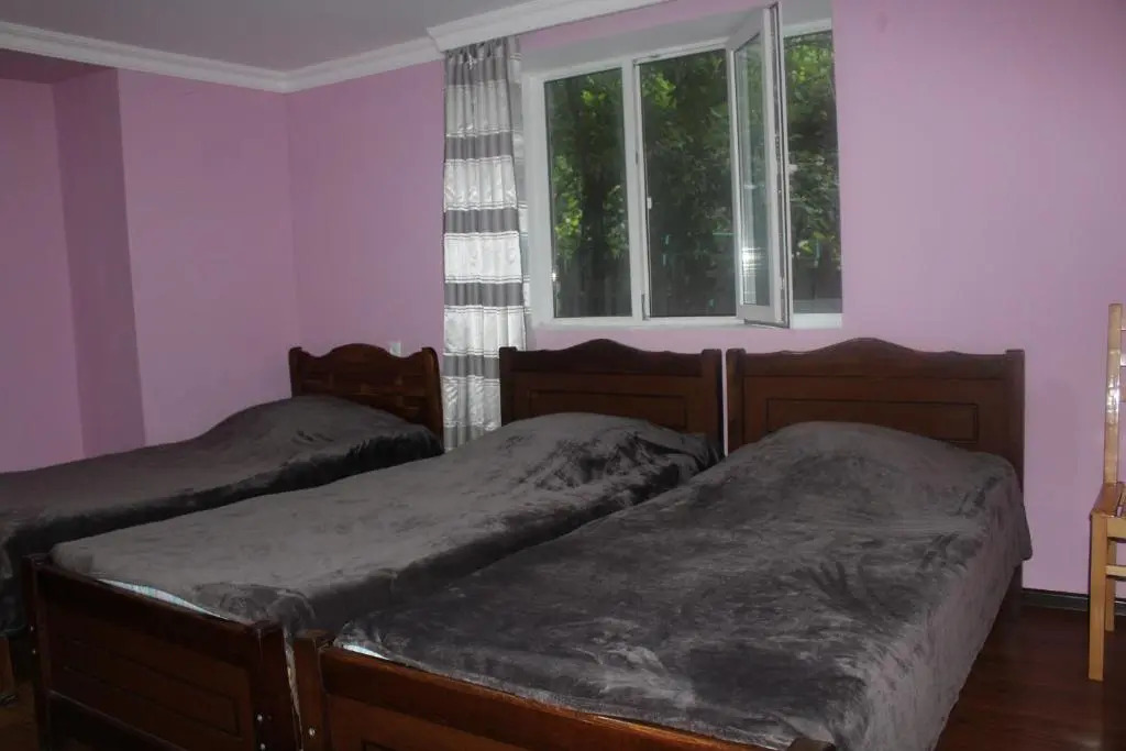 Borjomi Makvalas Guest House