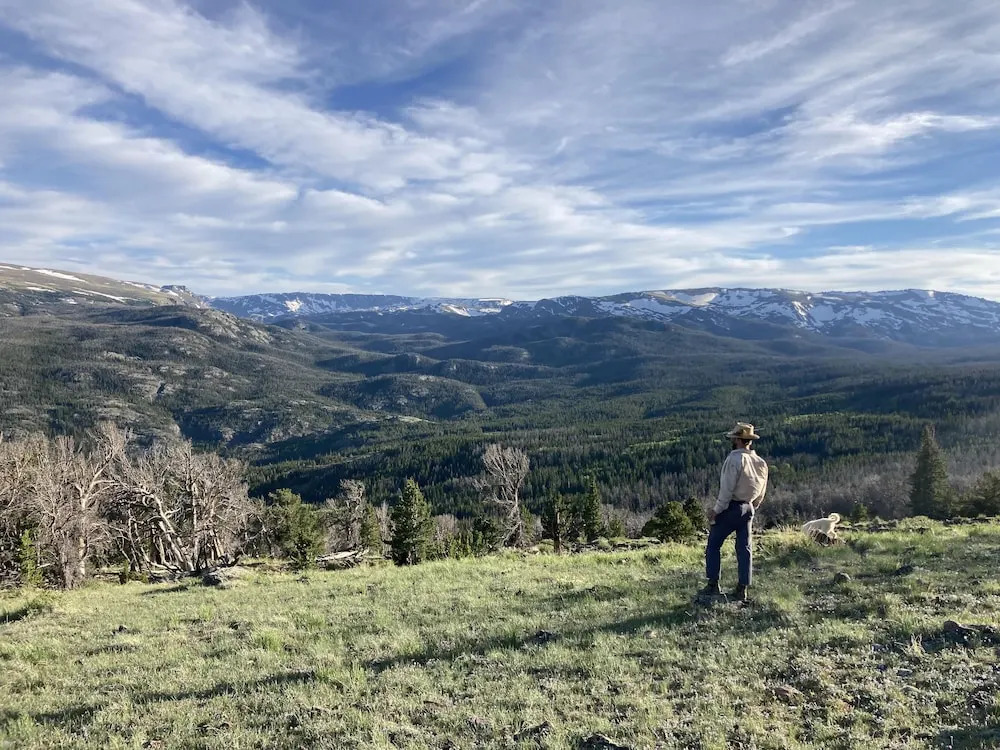 3 Spear Ranch