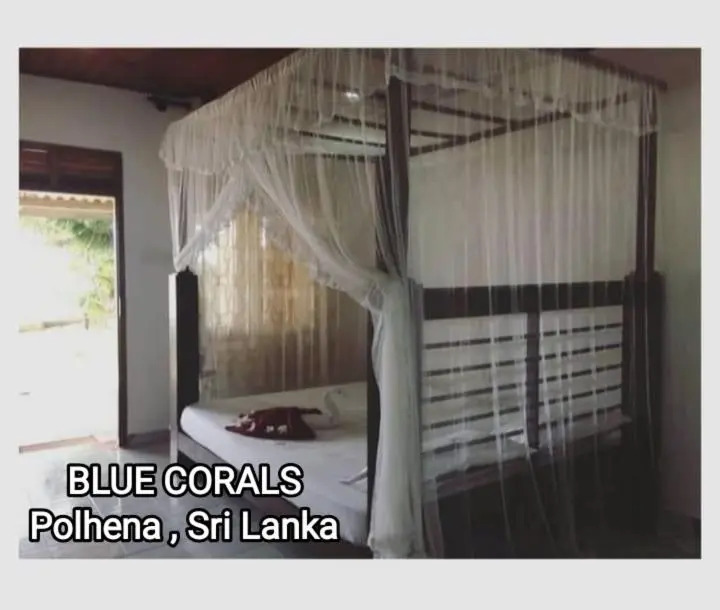 Blue Corals Beach Bungalow